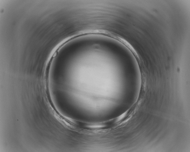 X0000080201148200612081421