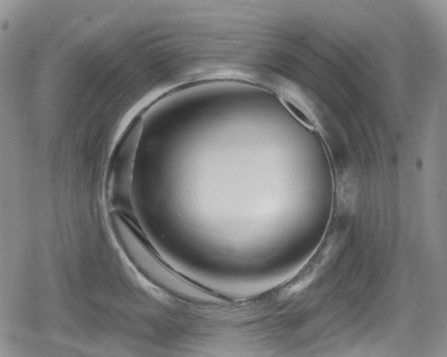 X0000080201149200612081421