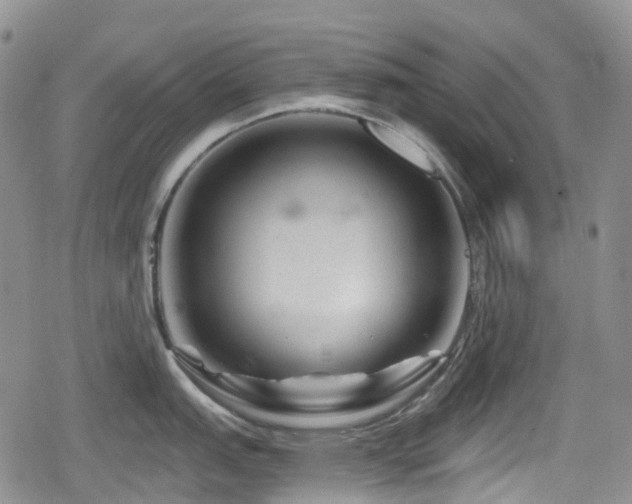 X0000080201151200612081421