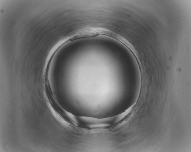 X0000080201152200612081421