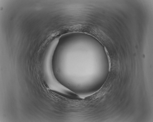 X0000080201153200612081420