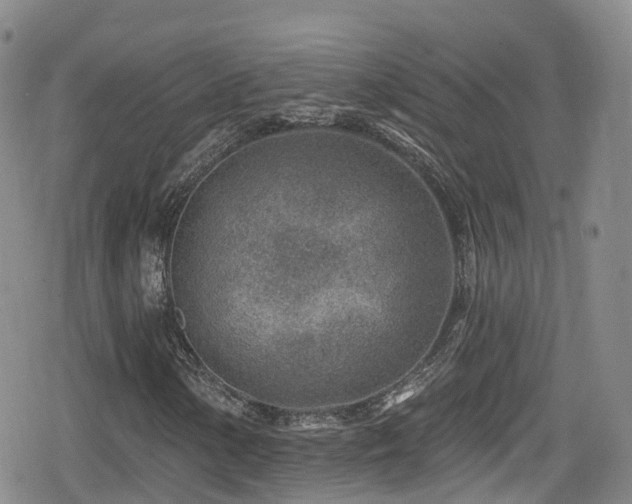 X0000080201154200612081420