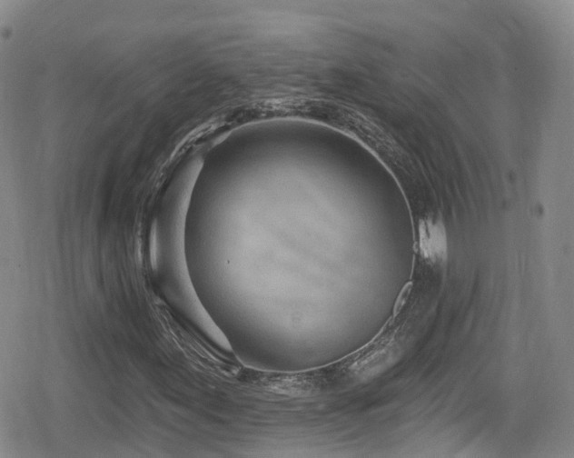 X0000080201155200612081420