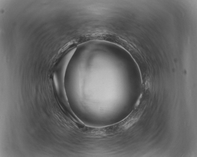 X0000080201156200612081420