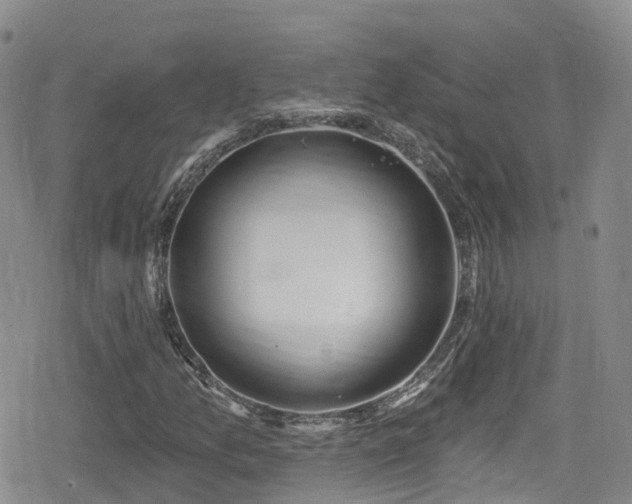 X0000080201157200612081420