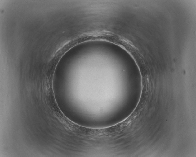 X0000080201158200612081420