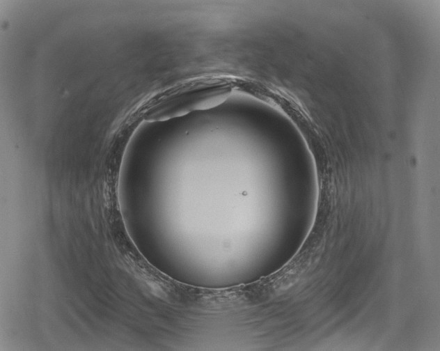 X0000080201159200612081420