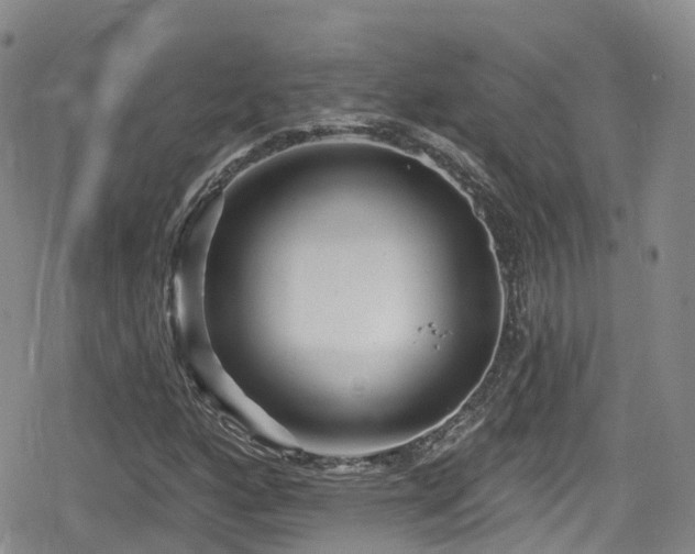 X0000080201160200612081420