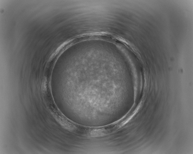 X0000080201161200612081420