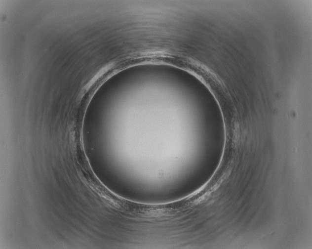 X0000080201162200612081420