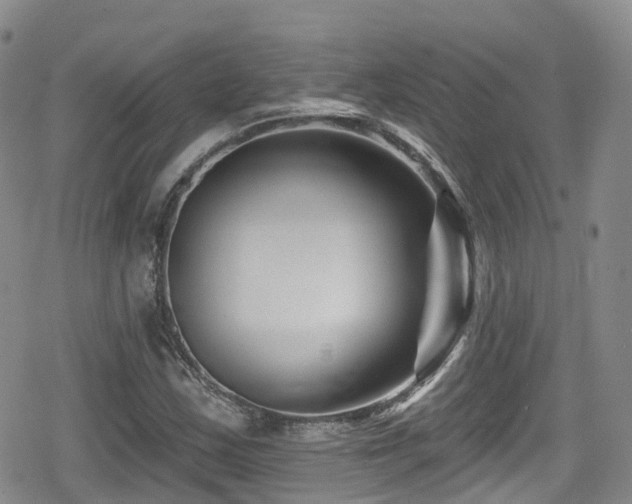 X0000080201163200612081420