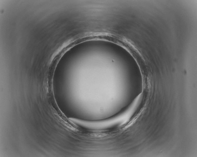 X0000080201165200612081420