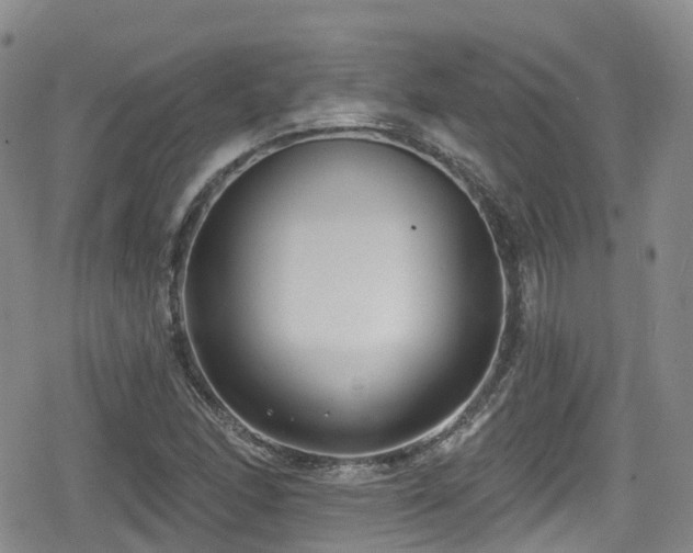 X0000080201166200612081420