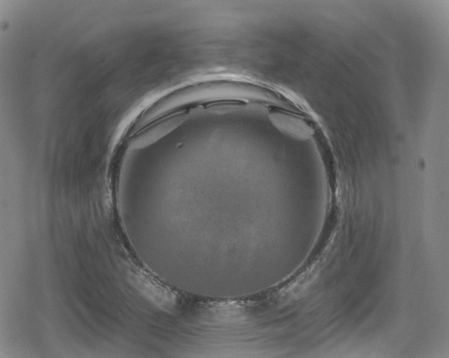 X0000080201167200612081420