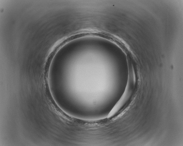 X0000080201168200612081420