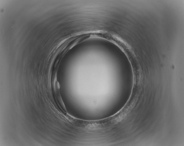 X0000080201169200612081420