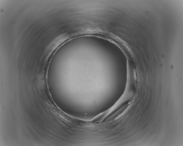 X0000080201170200612081420