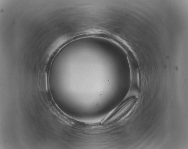 X0000080201171200612081420