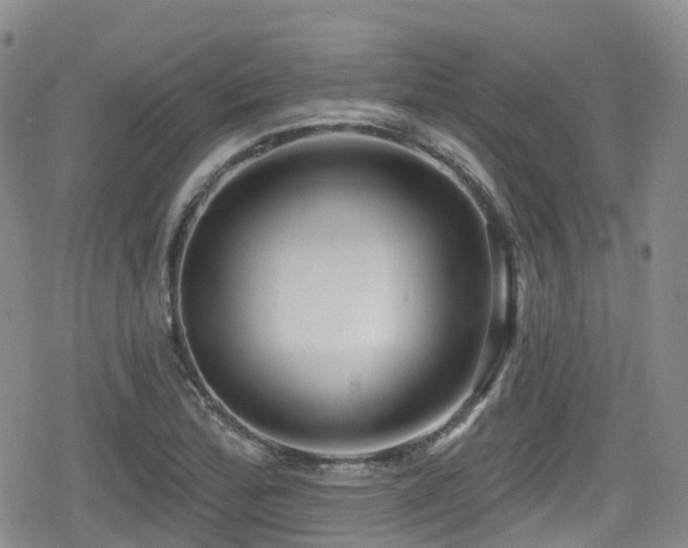 X0000080201172200612081420