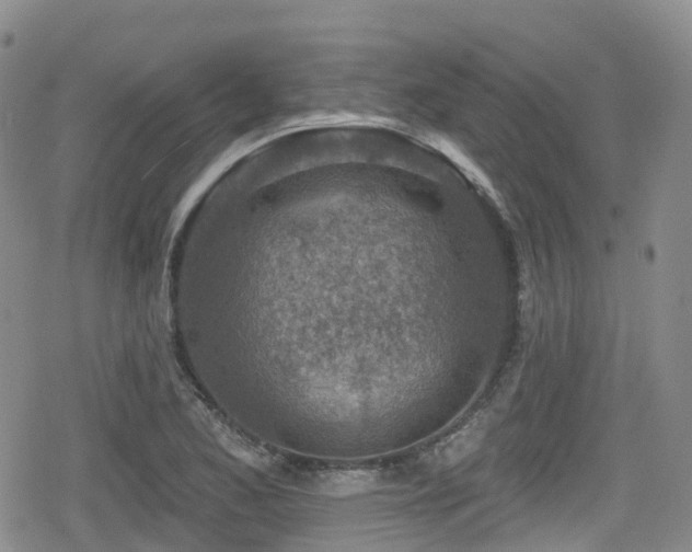 X0000080201173200612081420