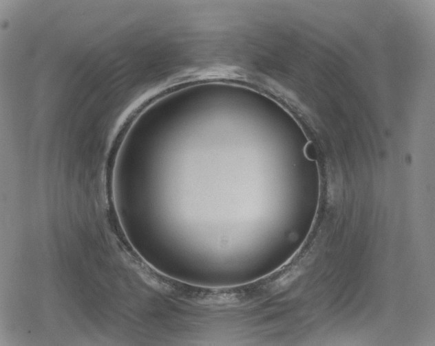 X0000080201174200612081420