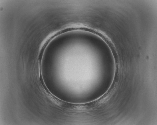 X0000080201175200612081420