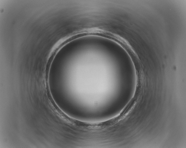 X0000080201176200612081420