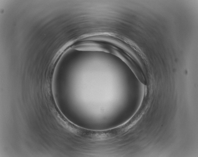 X0000080201177200612081420