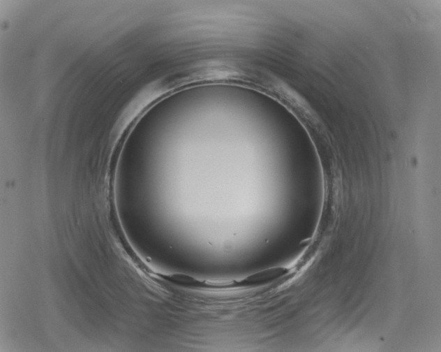 X0000080201178200612081420