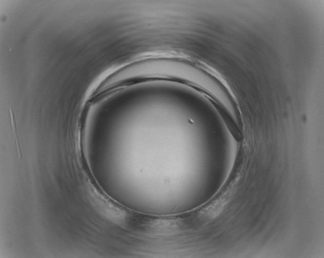 X0000080201179200612081420