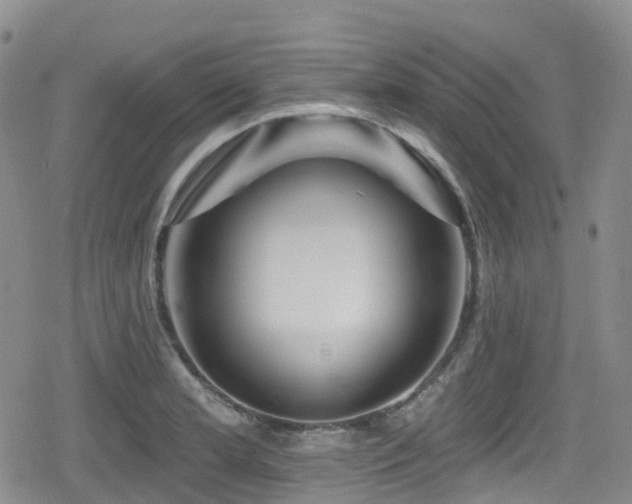 X0000080201181200612081420