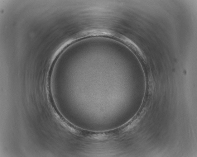 X0000080201182200612081420