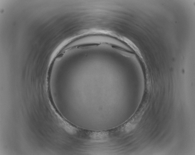 X0000080201183200612081420