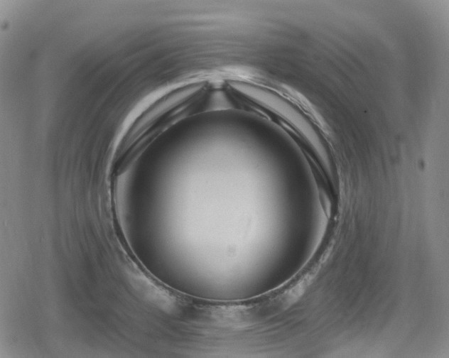 X0000080201184200612081420