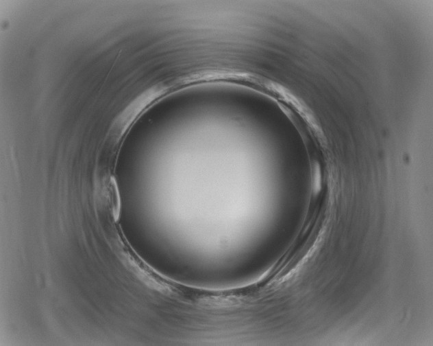 X0000080201185200612081420