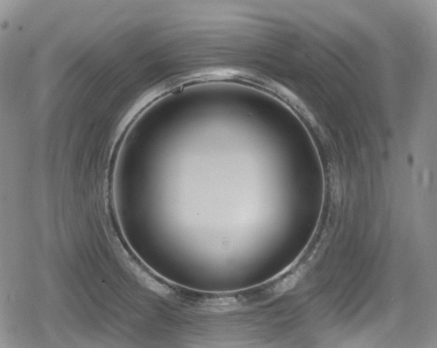 X0000080201186200612081420