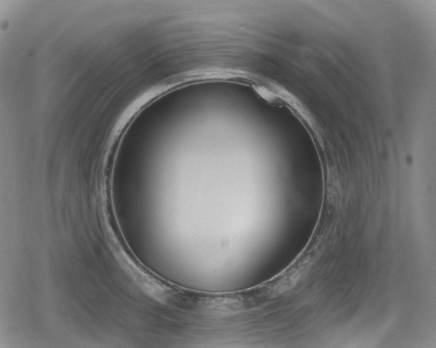 X0000080201187200612081419