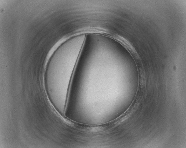 X0000080201188200612081419