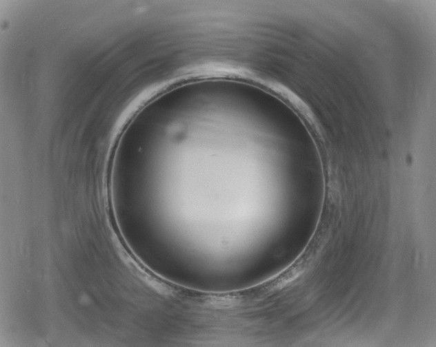 X0000080201191200612081419