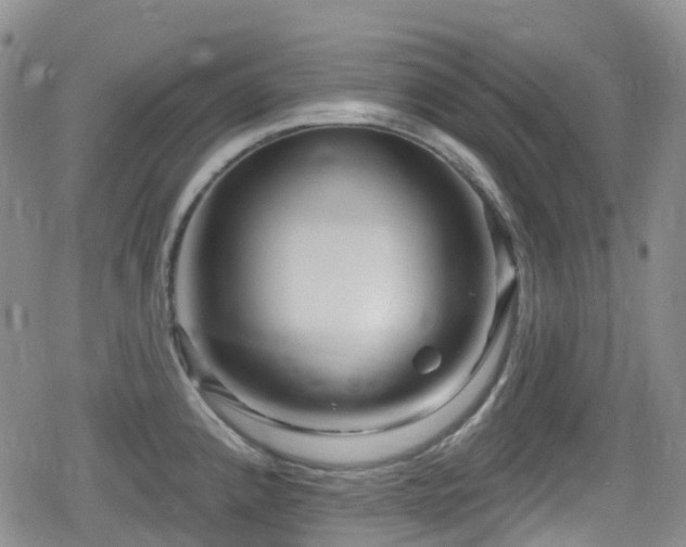 X0000080201192200612081419