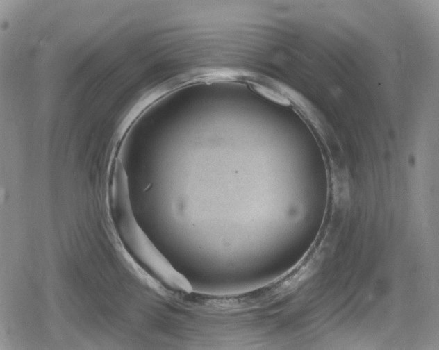 X0000080201194200612081419