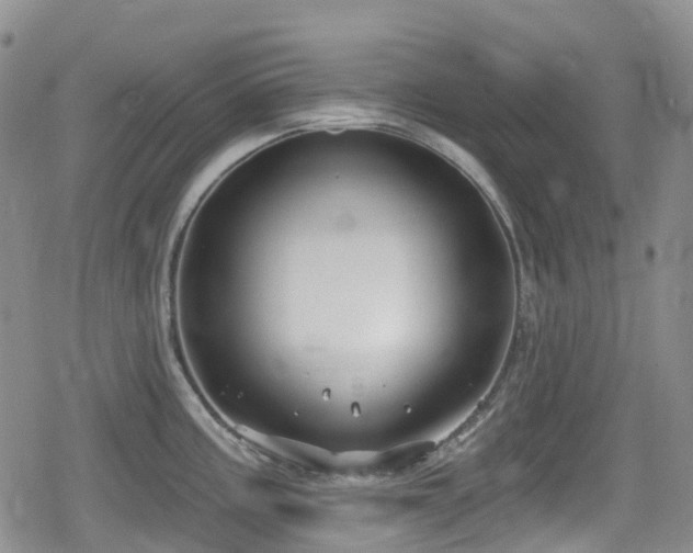 X0000080201195200612081419