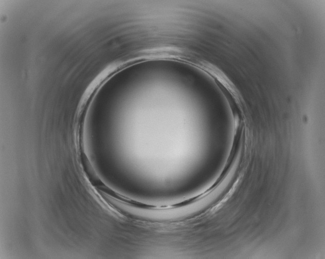 X0000080201196200612081419