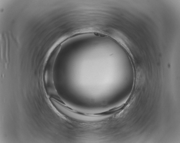 X0000080201197200612081419