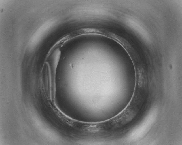 X0000080201198200612081419