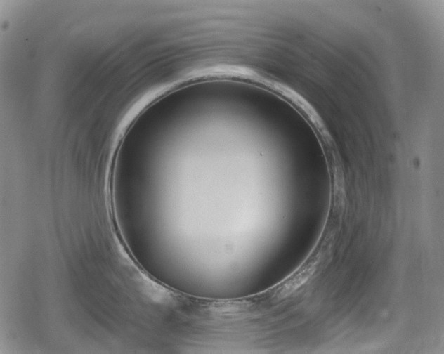 X0000080201199200612081419