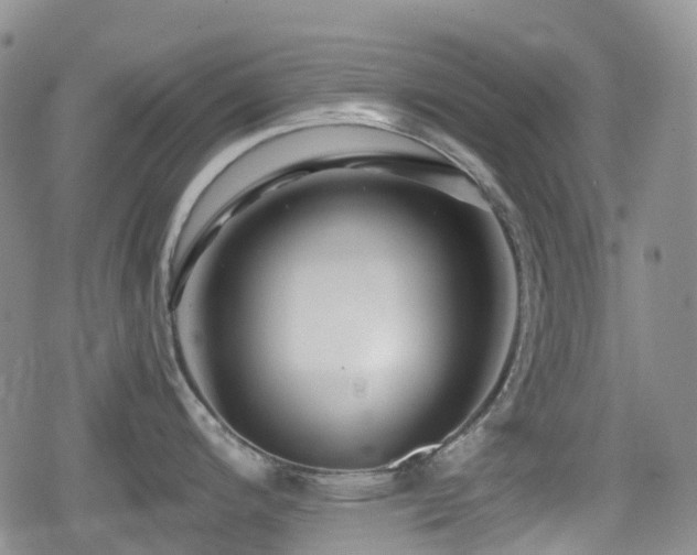 X0000080201200200612081419