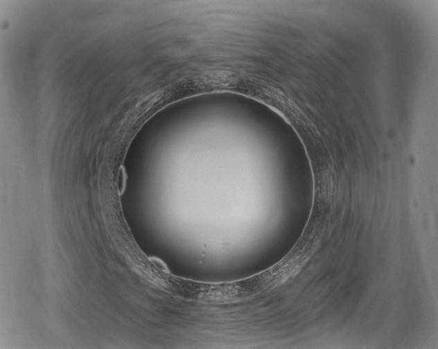 X0000080201201200612081418