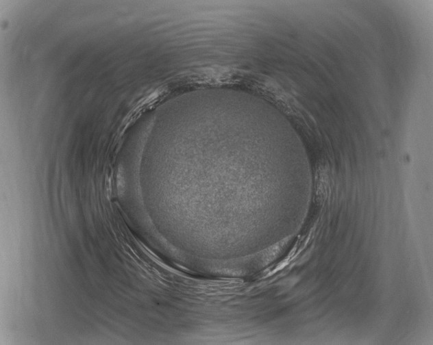 X0000080201202200612081419