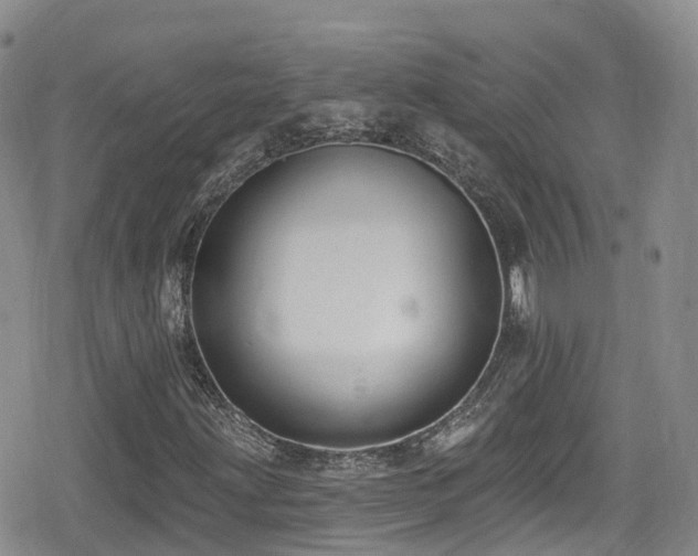 X0000080201203200612081419